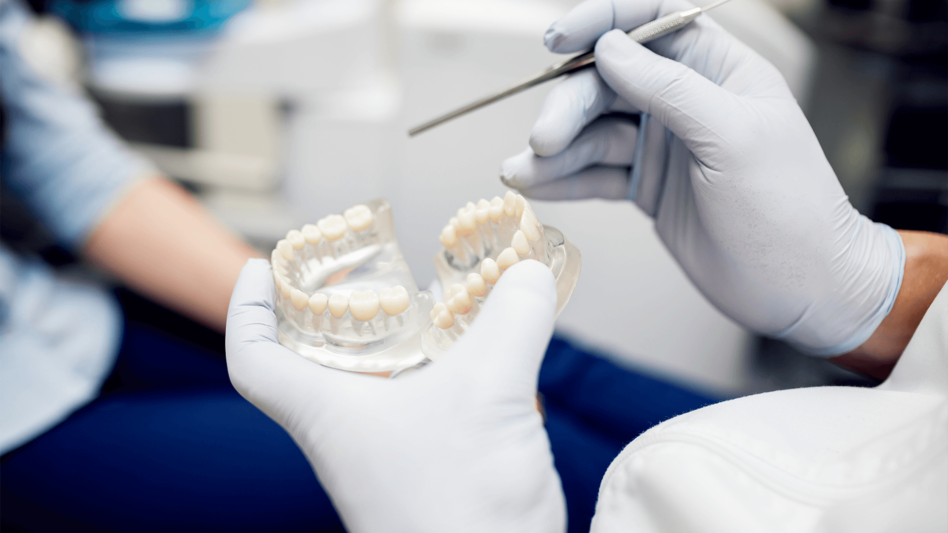 Dentist showing crowns of different teeth.