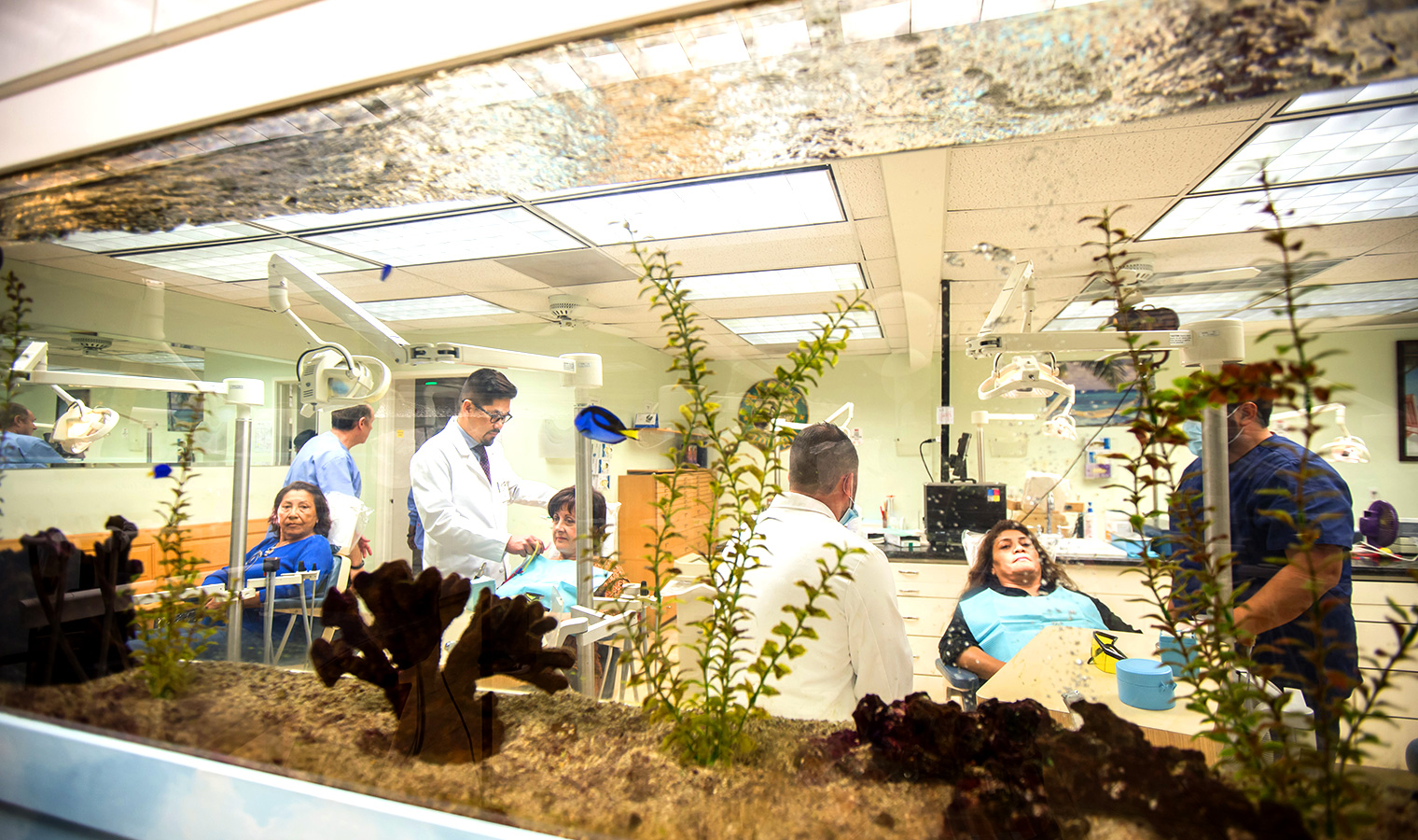 View through a fish tank into a dental treatment room with several dentists working on patients.